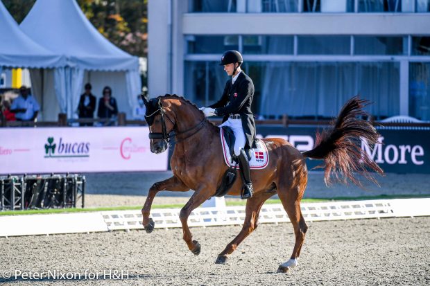 Daniel Bachmann Andersen (DEN) riding Marshall-Bell during the Grand Prix - Team Competition of the Dressage European Championship held at Hagen A.T.W near Osnabrück in Germany between the 7-12th September 2021