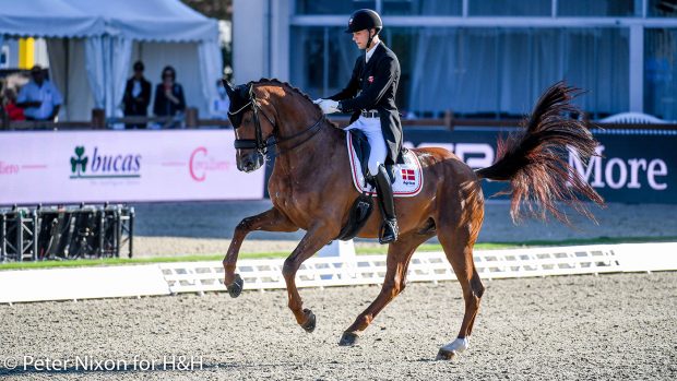 European Dressage Championships - Daniel Bachmann Andersen on Marshall-Bell