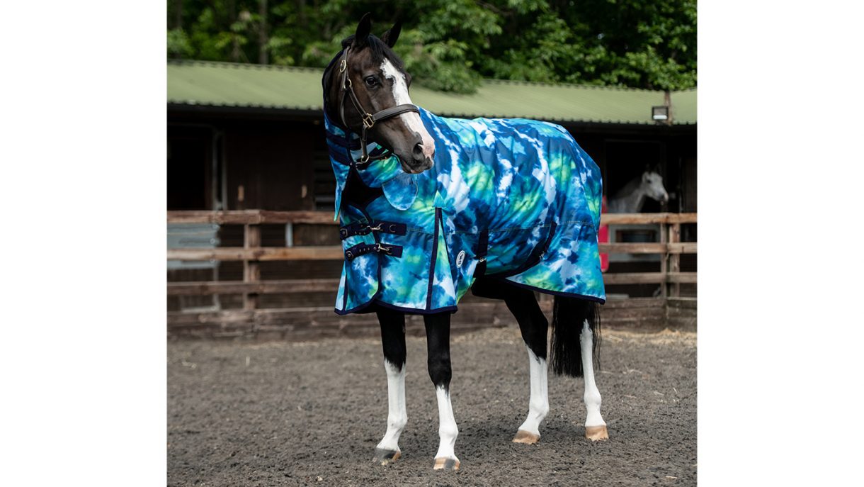 Patterned horse rugs to feast your eyes on | Horse & Hound