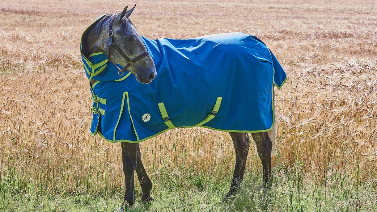 Best medium weight turnout rugs for horses Horse & Hound