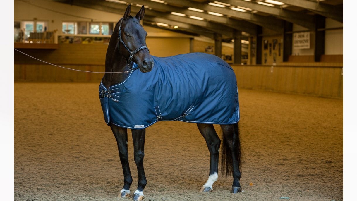 Best stable rugs for keeping your horse warm this winter Horse & Hound