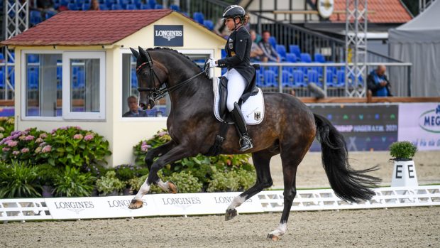 Dressage European Championships Grand Prix Dorothee Schneider