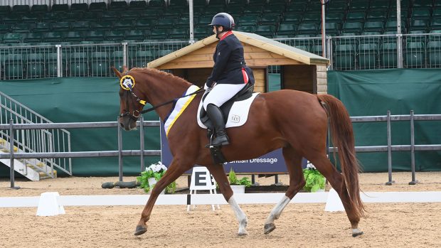 Julie Payne on Divinity at the National Dressage Championships 2021