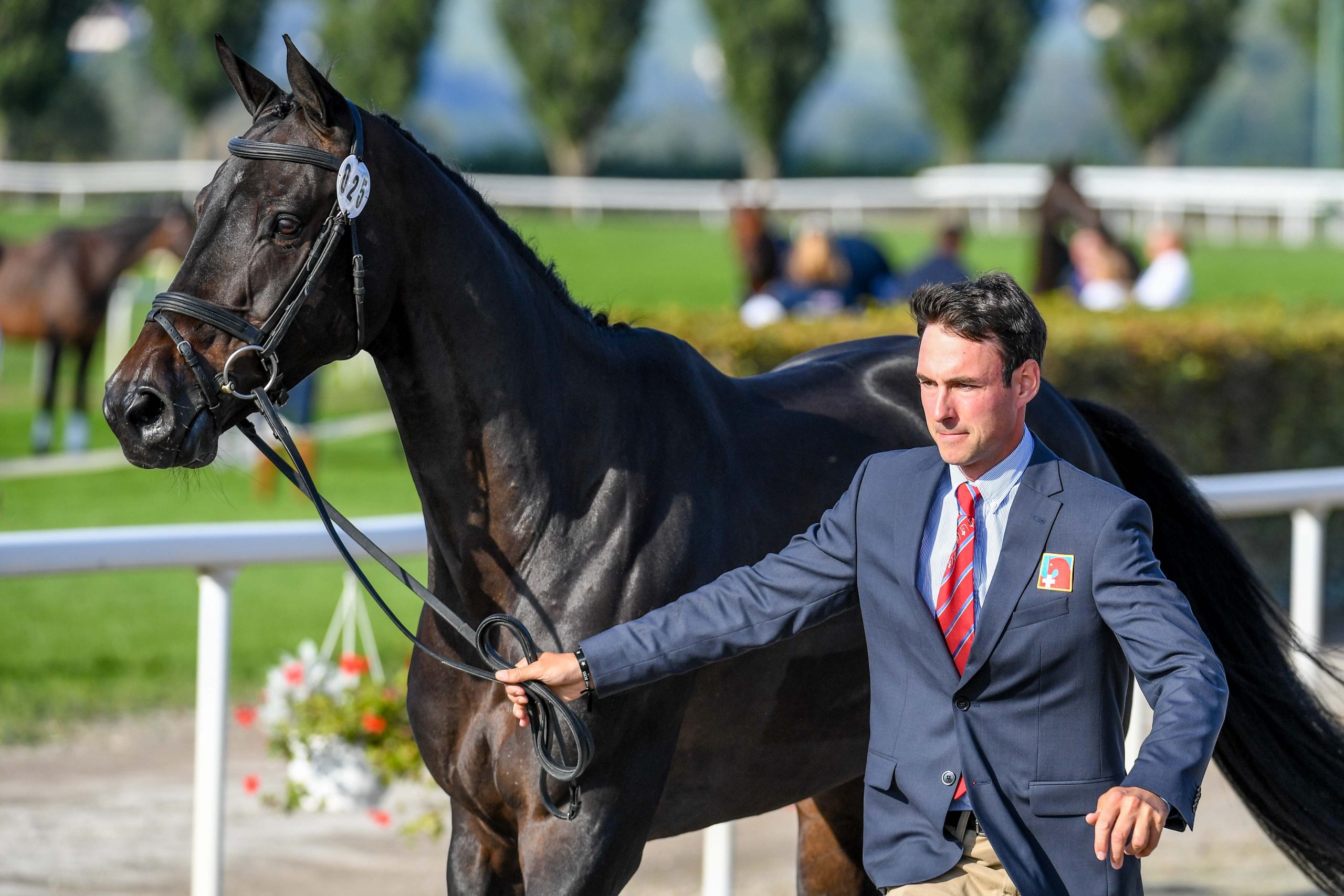 European Eventing Championships first trot-up photos: Felix Vogg and Cartania