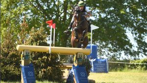 Irish team European Eventing Championships: Fred Scala and Everon Vivendi II are among those selected