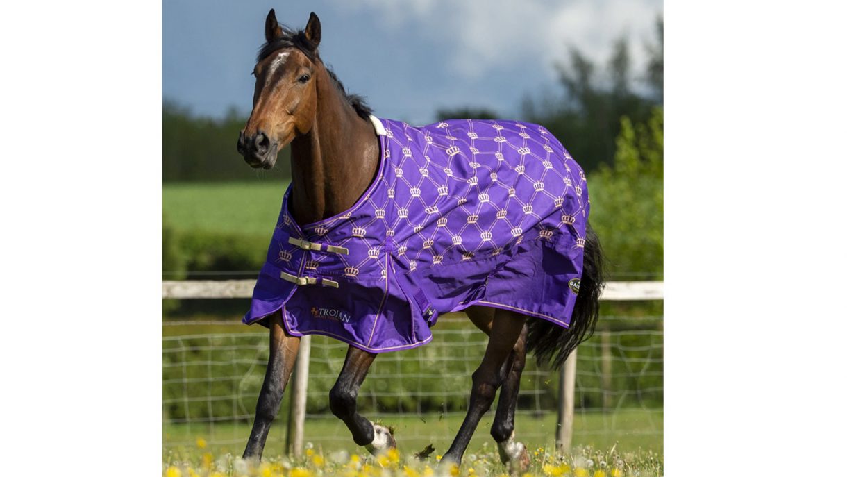 Patterned horse rugs to feast your eyes on | Horse & Hound