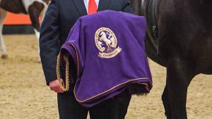 HOYS tickets Anyone competing at Horse of the Year Show wants to take home a HOYS winners’ rug