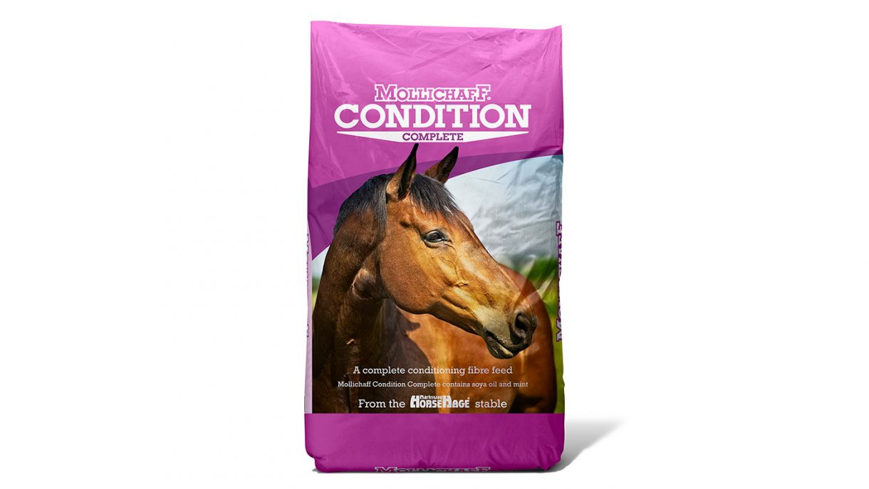 Horse feeds for weight gain and improving condition Horse & Hound