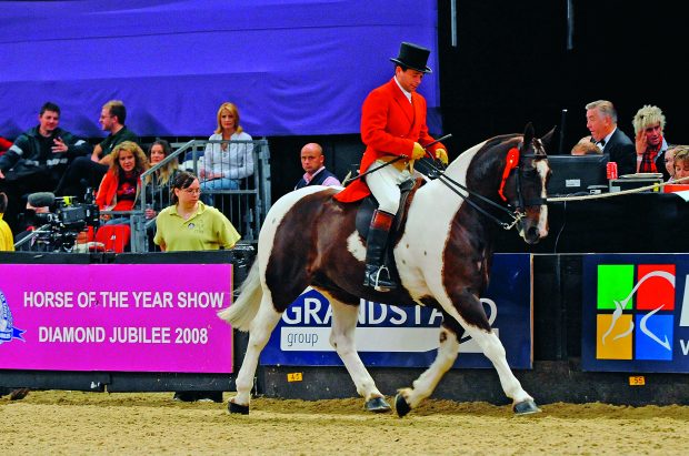 Robert Walker at HOYS in 2008