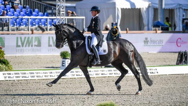 European Dressage championships - Isabell Werth and Weihegold OLD