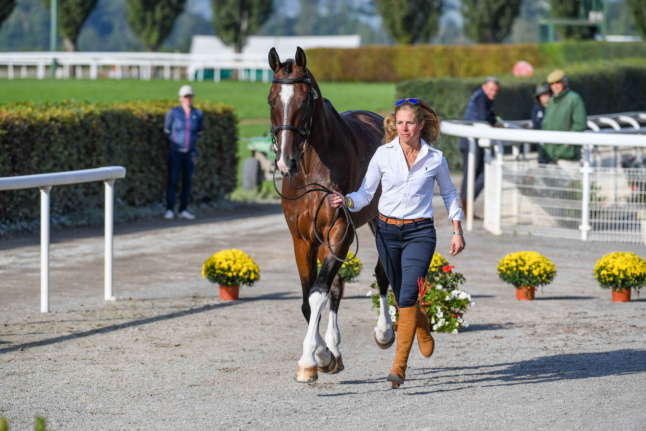 European Eventing Championships first trot-up photos: Izzy Taylor and Monkeying Around