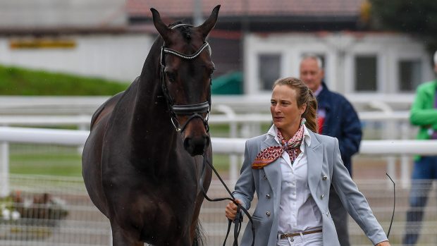 European Eventing Championships final trot-up: Lara de Liedekerke-Meier with Ducati D’Arville