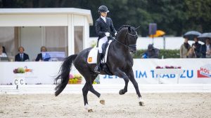 Lottie Fry on Kjento at the world breeding championships for young dressage horses