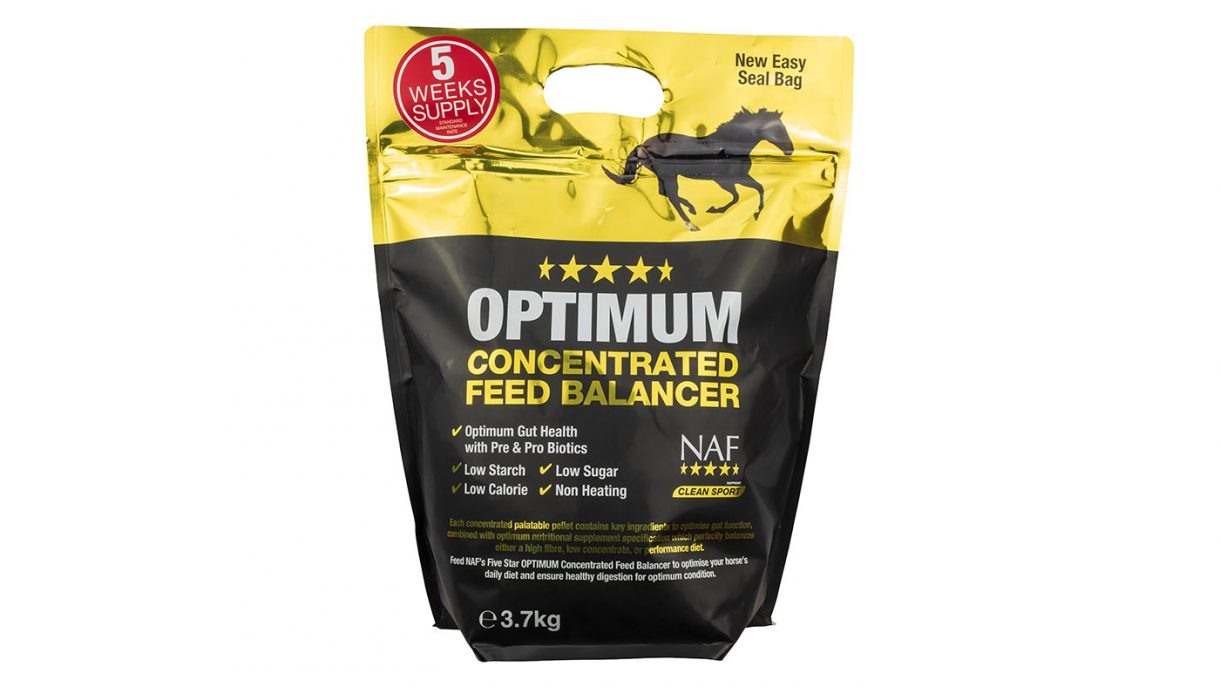 Horse feeds for weight gain and improving condition Horse & Hound