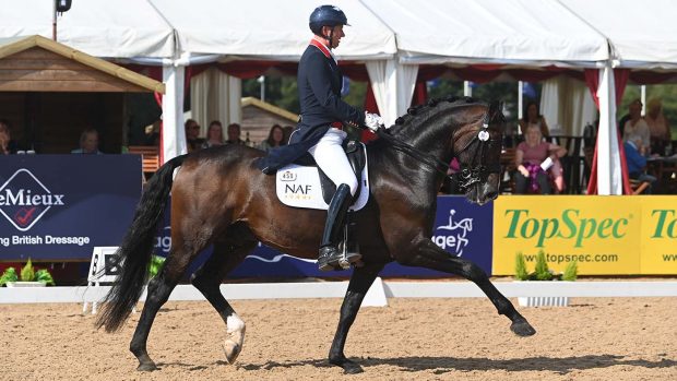Gareth Hughes riding KK Dominant to win the grand prix at the National Dressage Championships