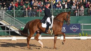 Emile Faurie is 2021 grand prix national champion at National Dressage Championships riding Dono Di Maggio