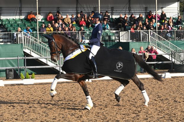 Koko II and Sarah Wilkinson win the Elementary Gold at the National Dressage Championships