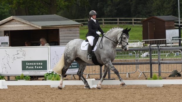 National dressage championships Hawklands Echo Heather White