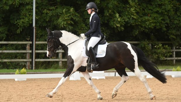 Emma Mounfield on Colin II at the National Dressage Championships