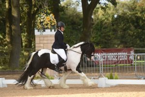 Brickell Mr Pickwick at the National Dressage Championships