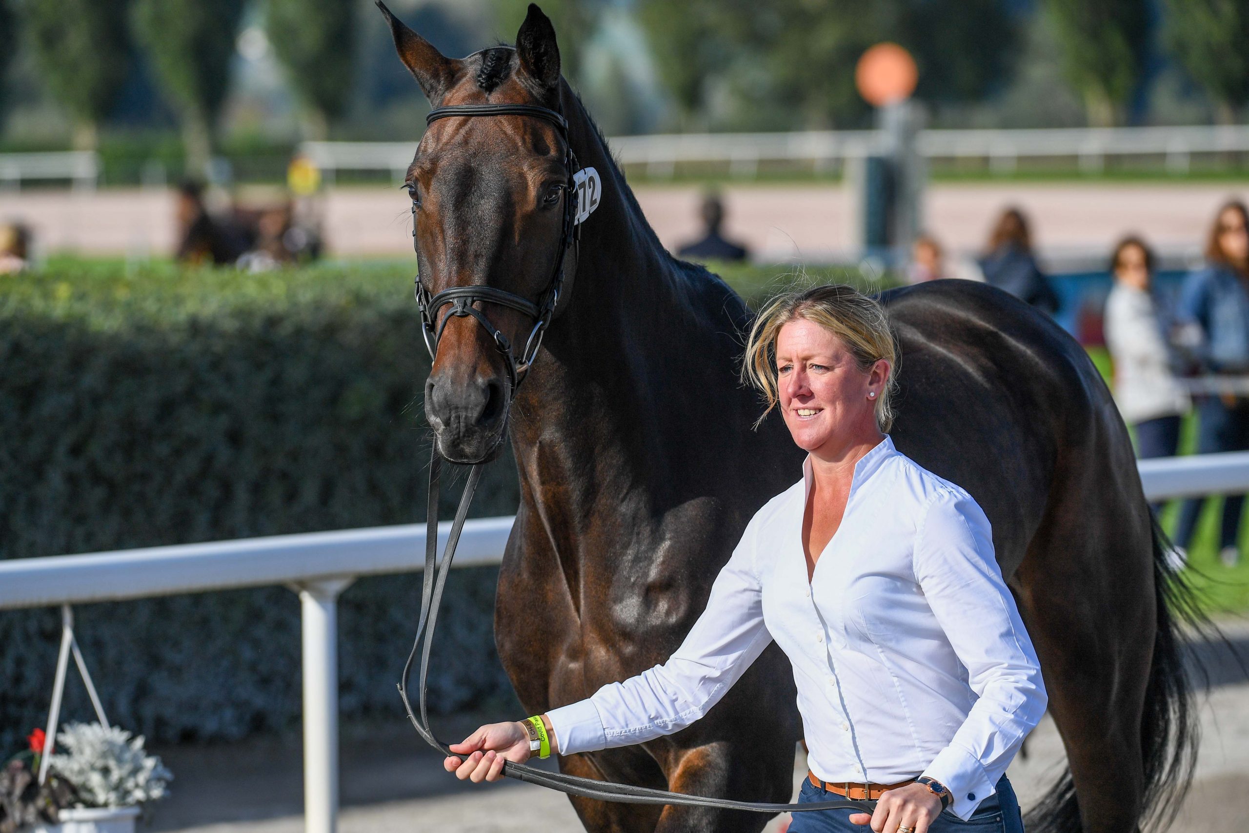 European Eventing Championships first trot-up photos: Nicola Wilson and JL Dublin
