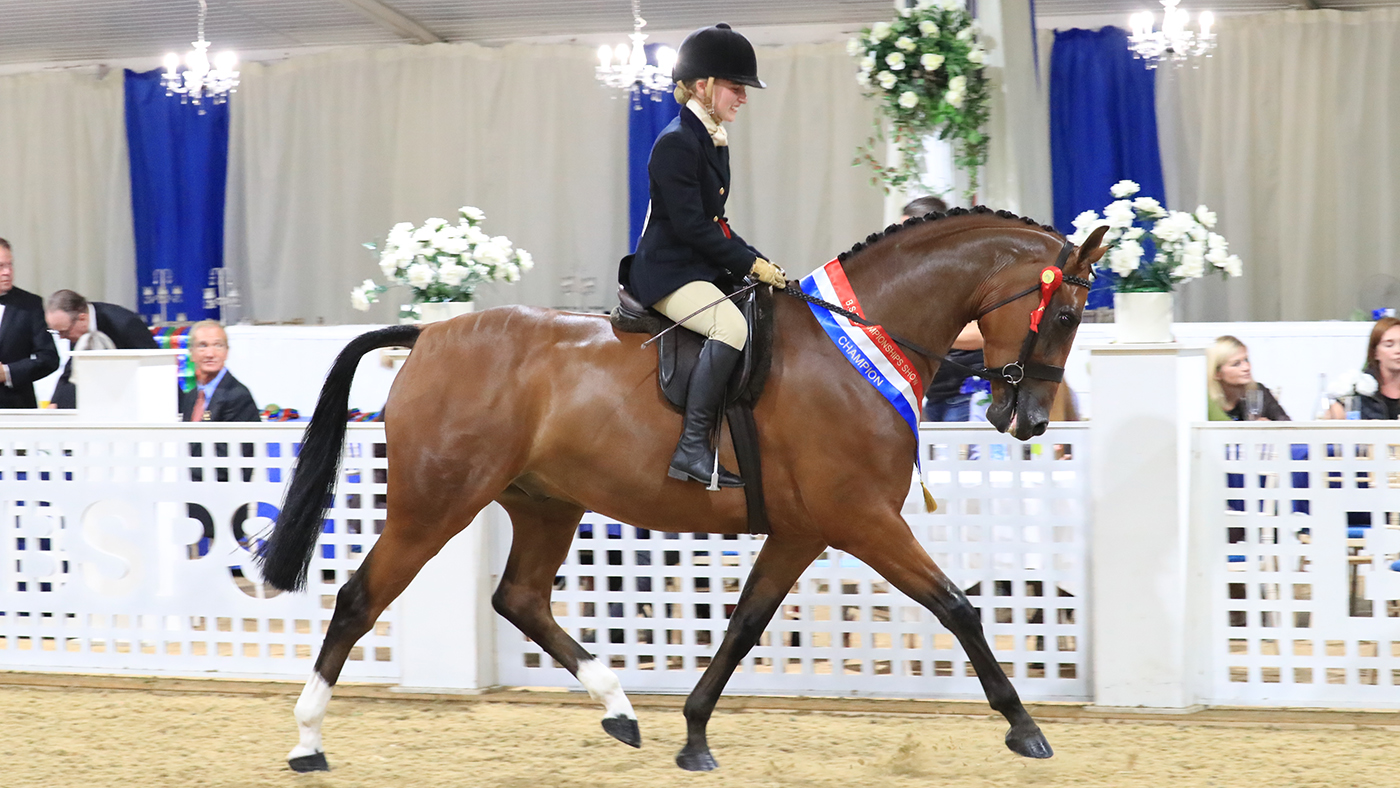 Penwind Charlie at BSPS Summer Championships