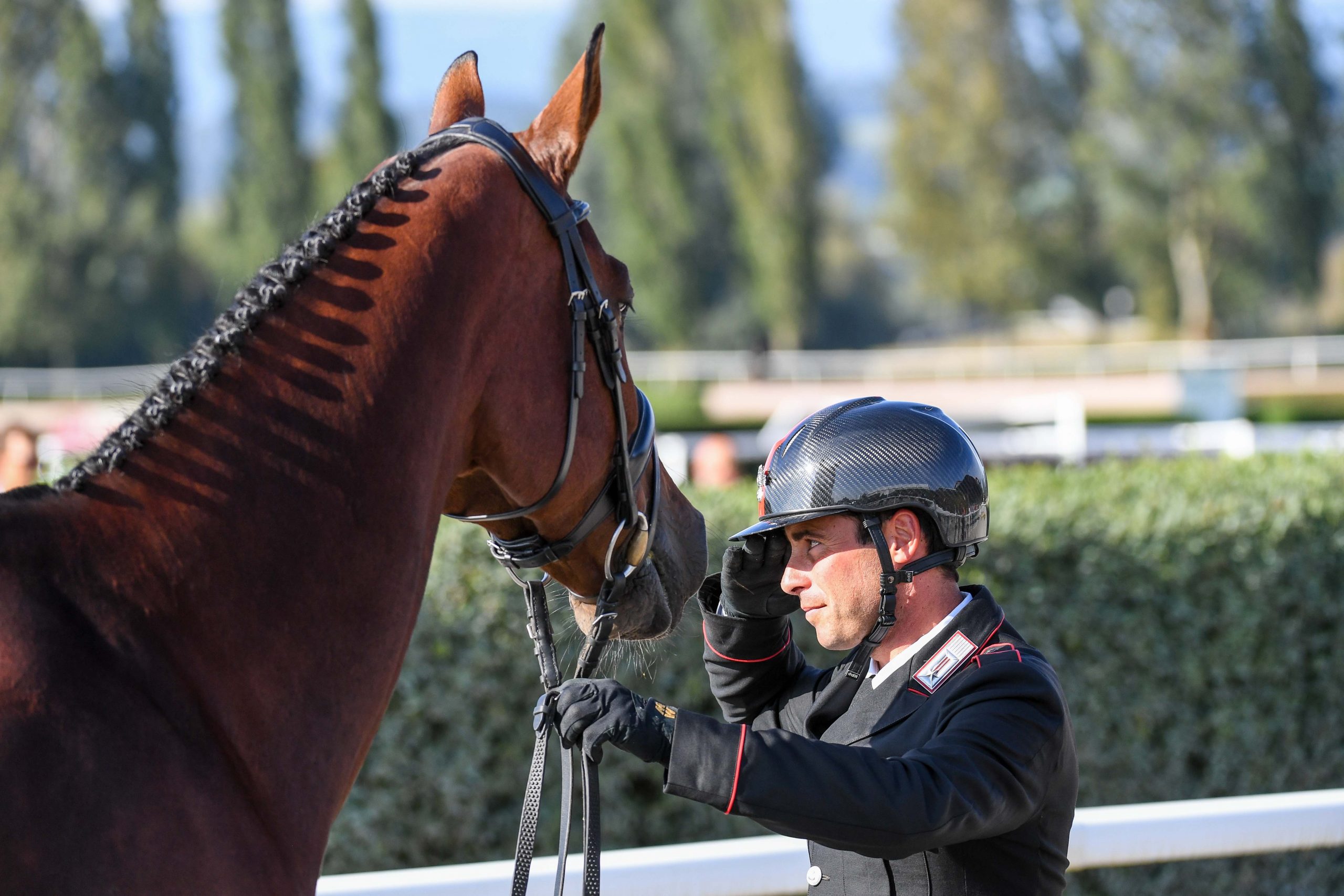 European Eventing Championships first trot-up photos: Pietro Sandei with Rubis De Prere