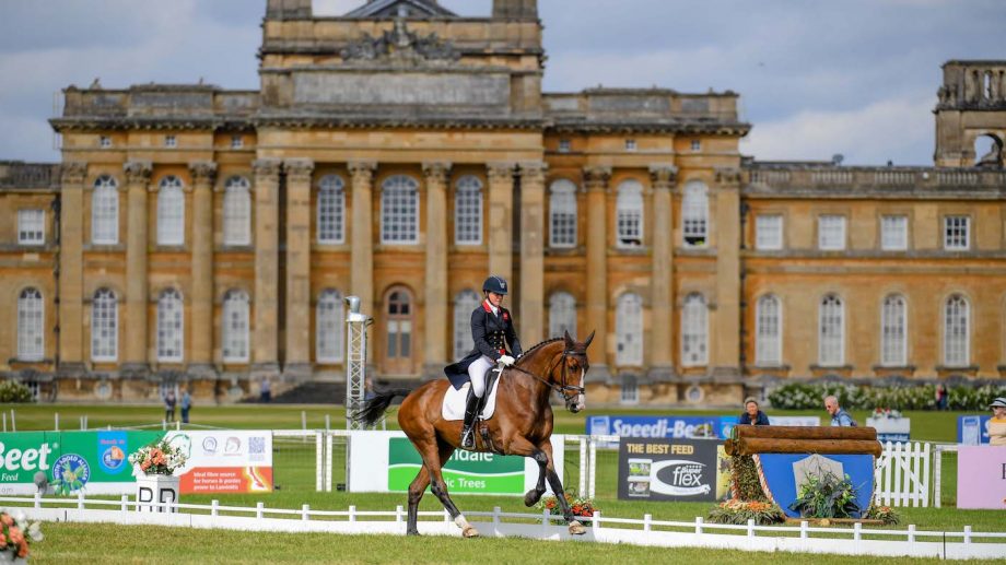 A horse doing dressage in front of Blenheim Palace.