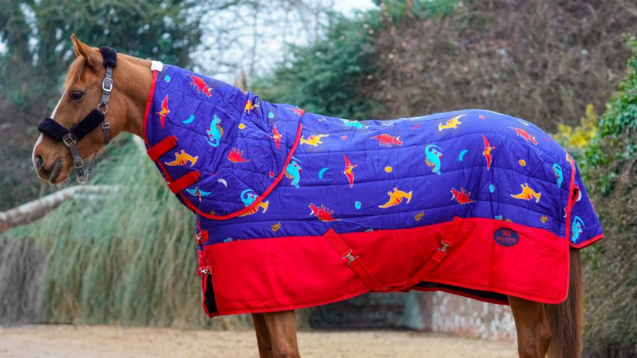 Best stable rugs for keeping your horse warm this winter Horse & Hound