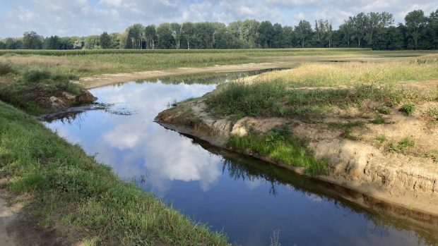 Riesenbeck International