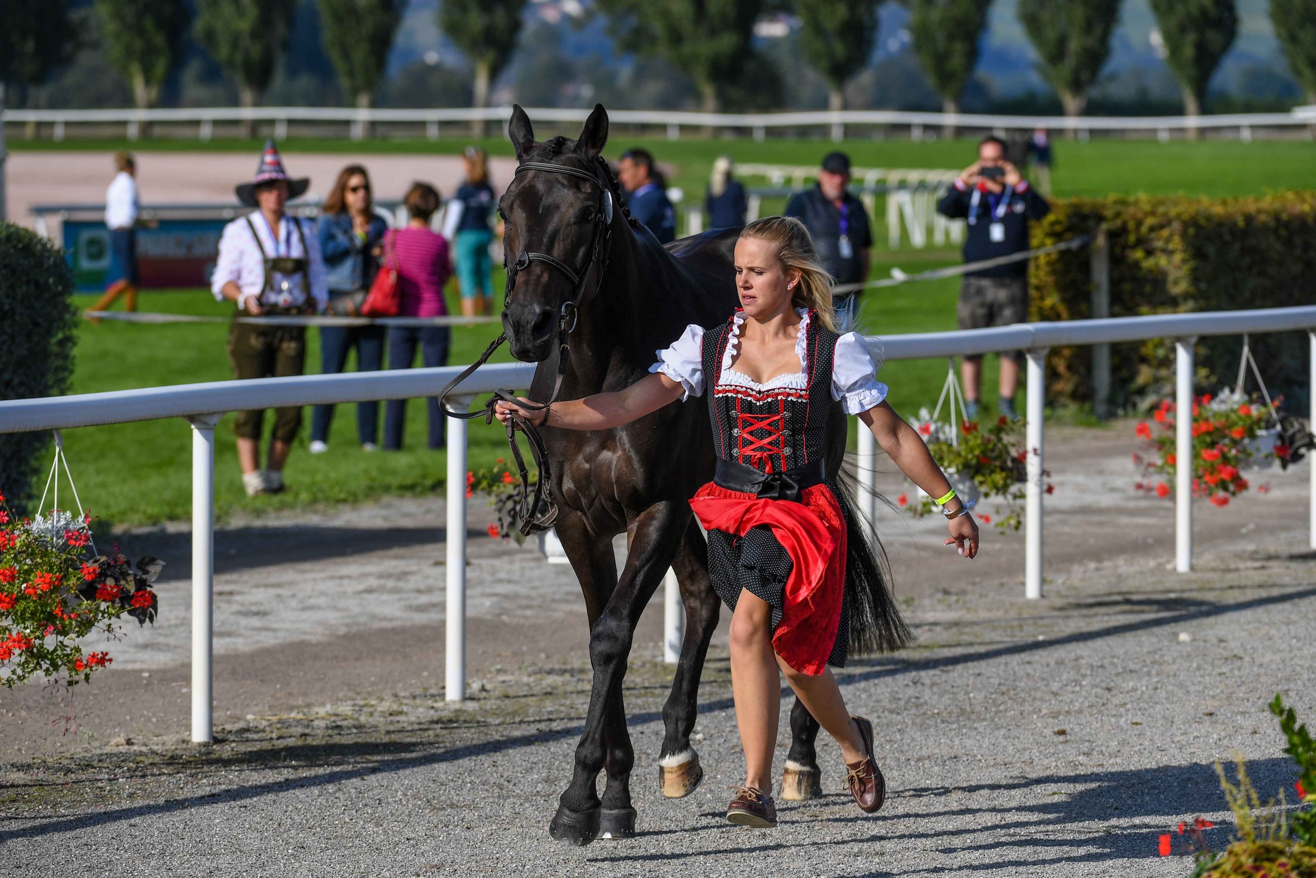 European Eventing Championships: Rebecca Gerold with Shannon Queen