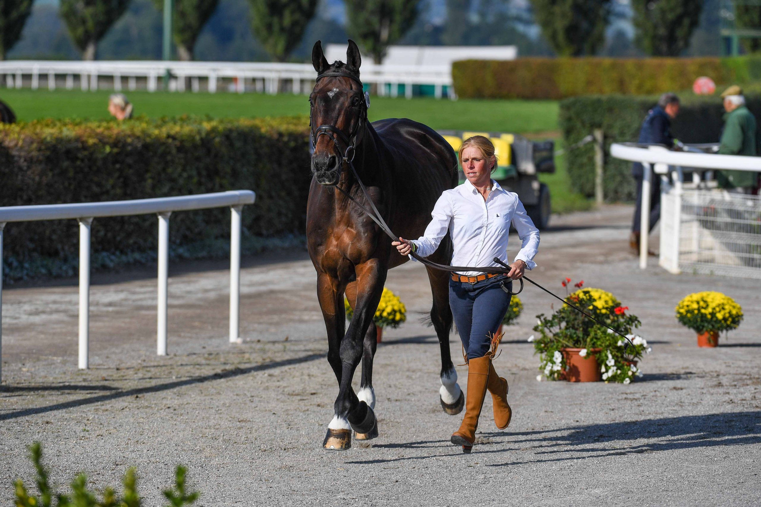 European Eventing Championships first trot-up photos: Ros Canter and Allstar B