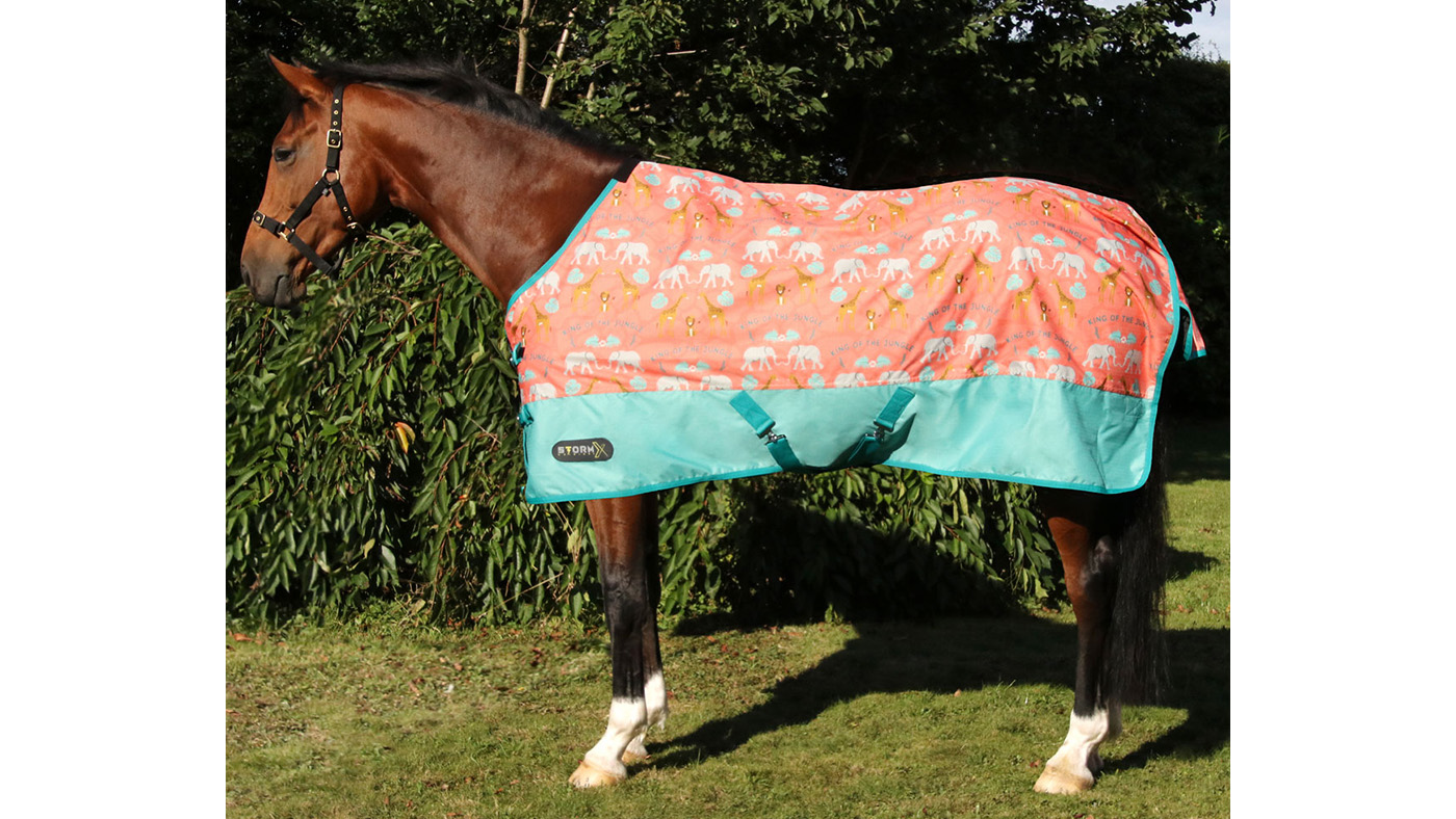 Hy StormX King Of The Jungle patterned rug