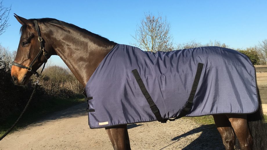 Best stable rugs for keeping your horse warm this winter Horse & Hound