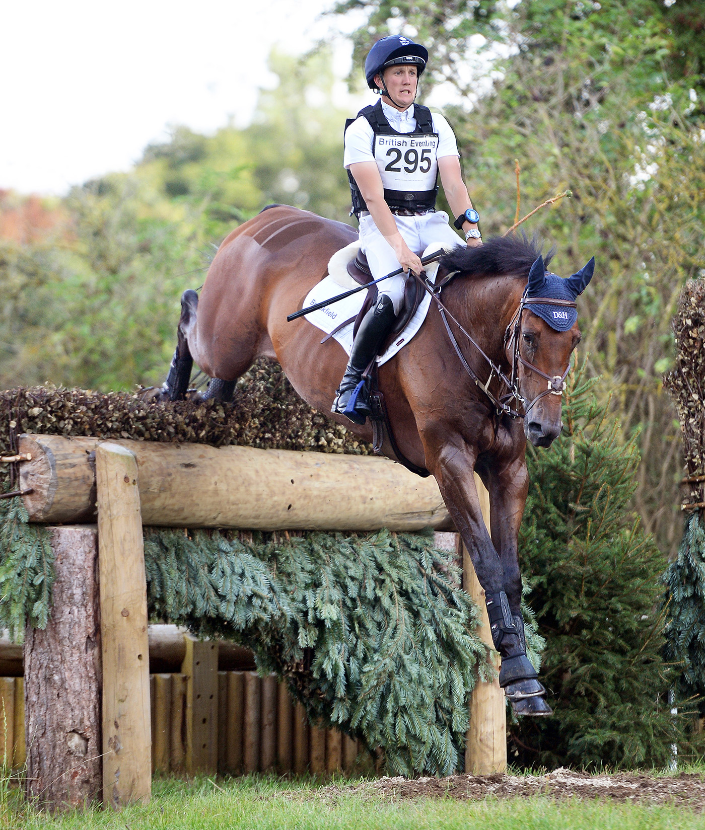 Tom McEwan and Brookfield Braveheart win CCI-S 2 Star Sec C