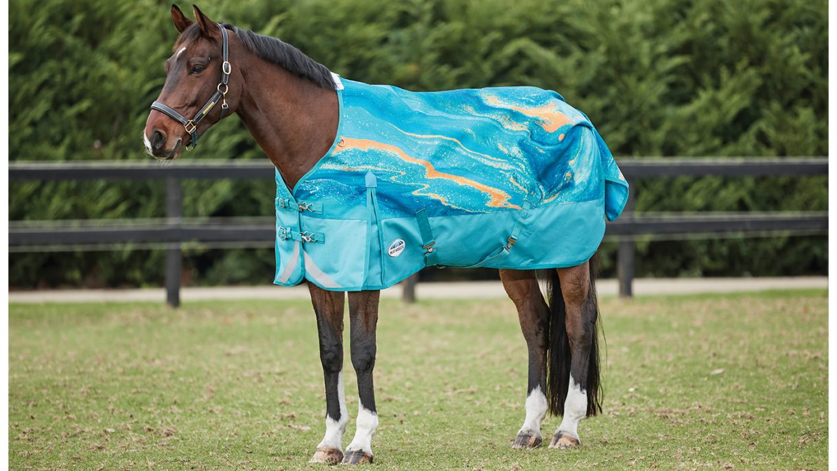 Patterned horse rugs to feast your eyes on Horse & Hound