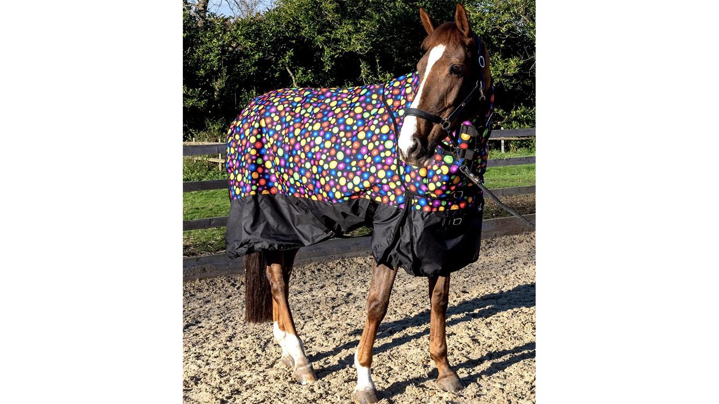 Whitaker Whiston Dotty patterned horse rug
