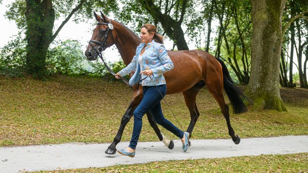 Bicton Horse Trials Sunday timetable: the trot-up is at 9am