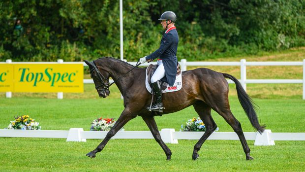 Bicton Horse Trials dressage: Oliver Townend and MHS King Joules