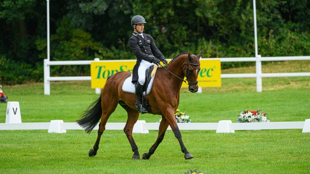 Bicton Horse Trials dressage: James Avery and Mr Sneezy