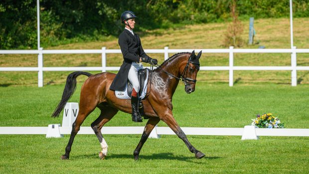 Bicton Horse Trials dressage: Will Rawlin