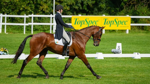 Sarah Dowley and Rubix Kube at Bicton five-star