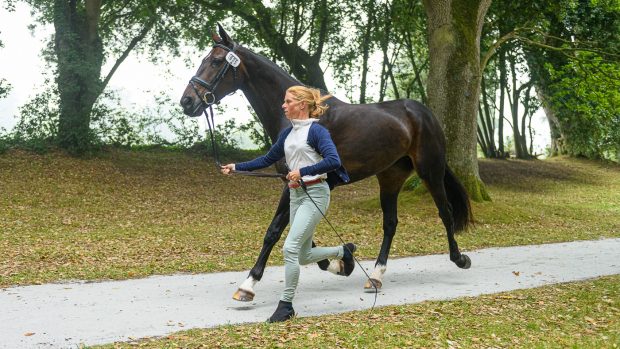Bicton Horse Trials final trot-up: Ros Canter and Pencos Crown Jewel