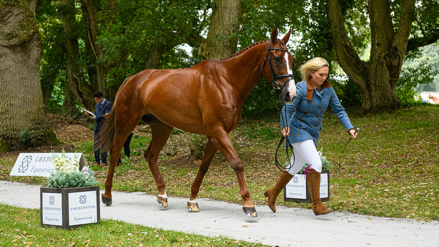 Bicton Horse Trials first trot-up: Gemma Tattersall and Chilli Knight