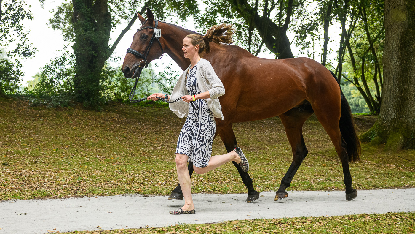 Bicton Horse Trials first trot-up: Sarah Dowley and Rubix Kube