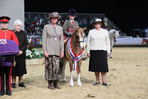 Lexi Brash and Wellbank Gabriel are crowned junior M&M champions at HOYS 2021