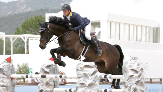 international showjumper