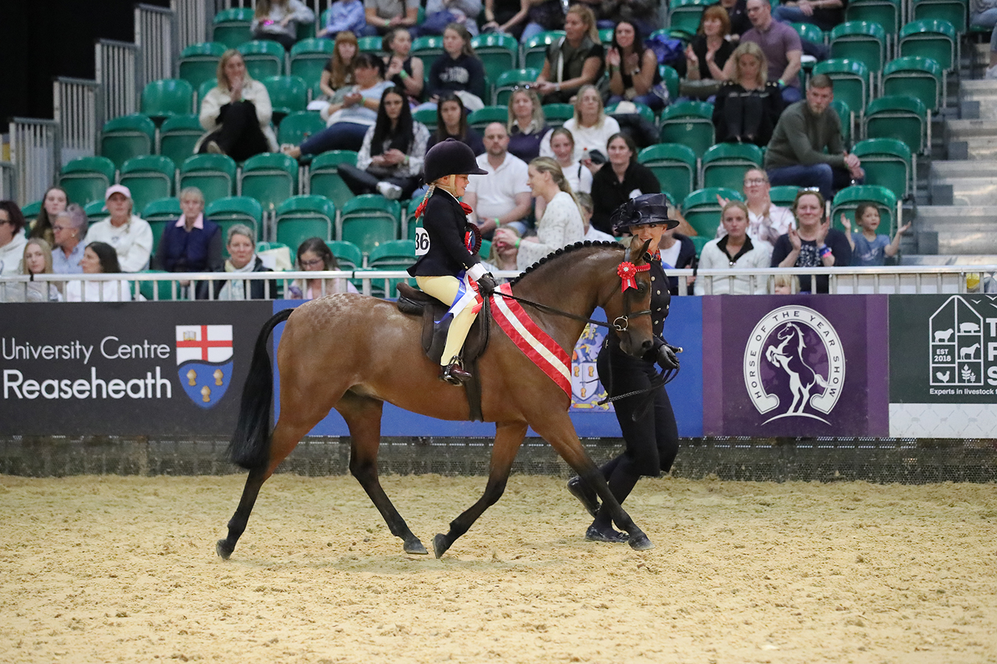 Mini pony champions at HOYS 2021 are Anya Dewey Clarke and Barkway Take That