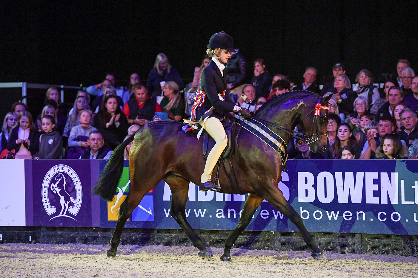 Ellie Harrington and Roseberry Final Edition are pony supremes at HOYS 2021