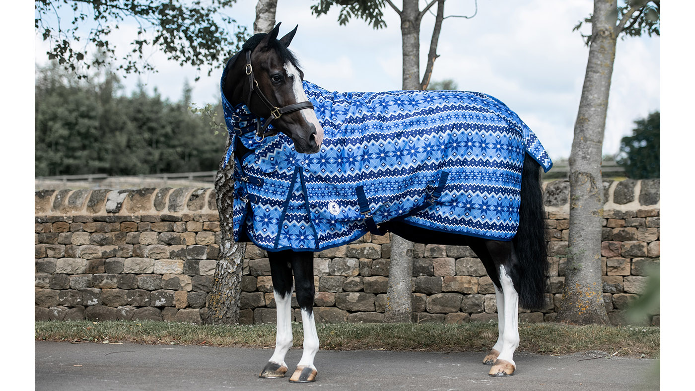 Christmas In July Sales 2022 Horse Gifts For Horses That Will Go Down A Treat | Horse & Hound